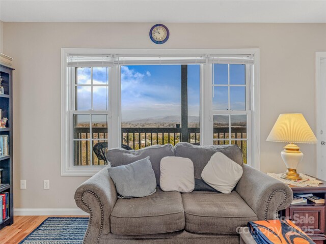 living room with hardwood / wood-style flooring and a mountain view
