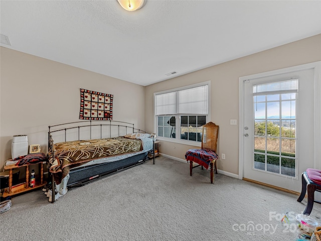 bedroom featuring access to exterior and carpet flooring