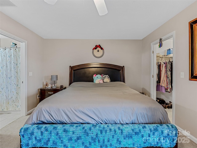 carpeted bedroom featuring ceiling fan, a walk in closet, and a closet