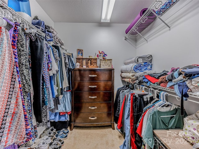 spacious closet with light carpet
