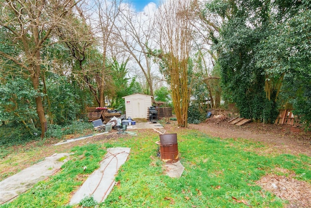 view of yard with a storage unit