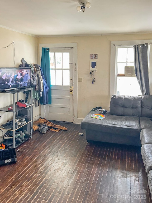 interior space featuring ornamental molding and dark wood-type flooring