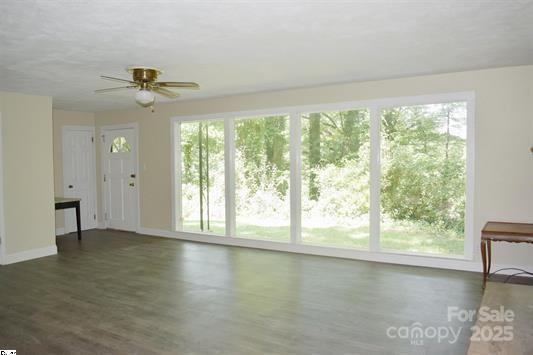 interior space featuring dark hardwood / wood-style floors and ceiling fan