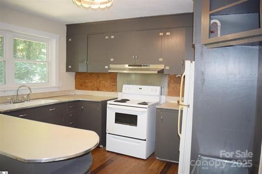 kitchen featuring sink, dark hardwood / wood-style floors, and white electric range oven