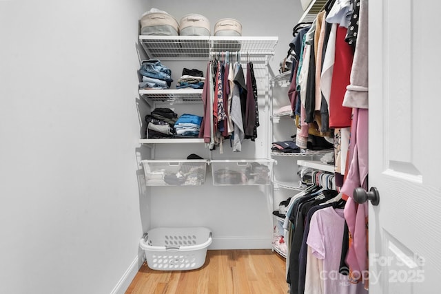 walk in closet featuring wood-type flooring