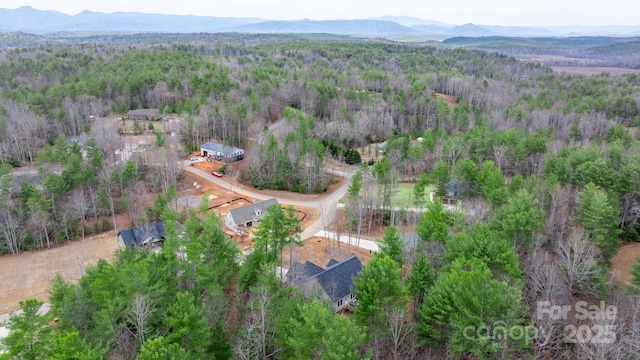 birds eye view of property featuring a mountain view