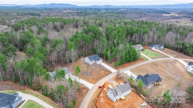 birds eye view of property featuring a mountain view