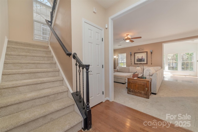 stairway featuring wood finished floors, a ceiling fan, and ornamental molding