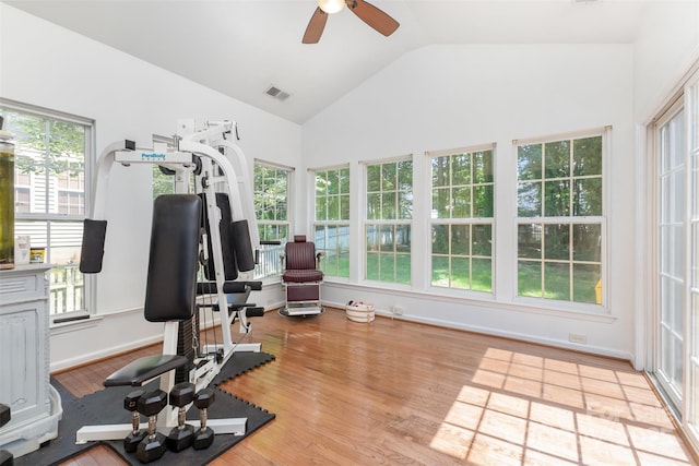 1245 Periwinkle Dr, Waxhaw, NC 28173 - workout area with lofted ceiling, wood finished floors, and a ceiling fan