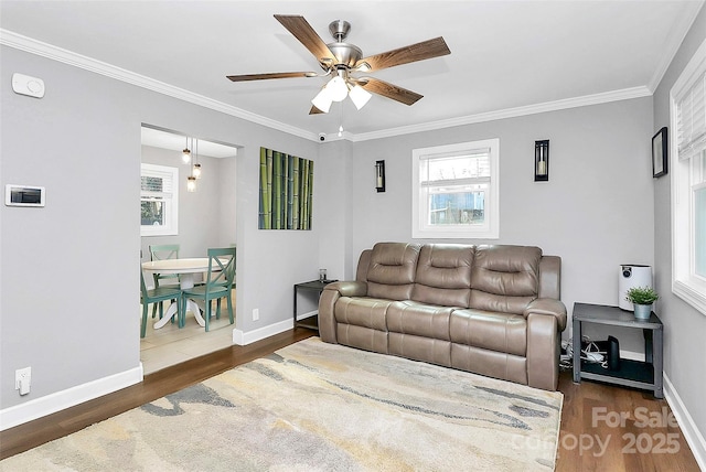 living room with crown molding, dark wood-type flooring, and ceiling fan