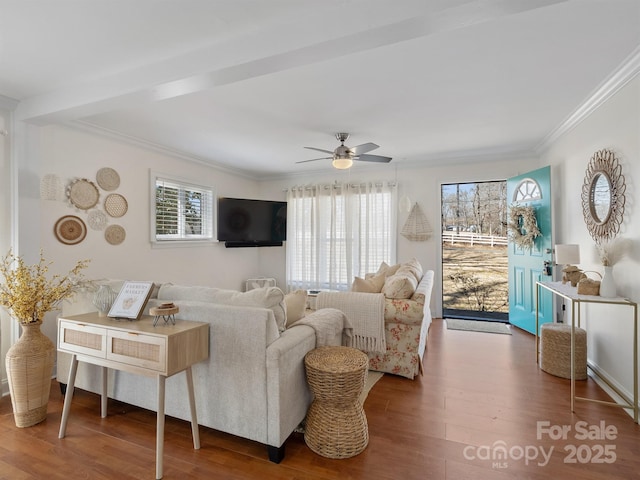 living area with ornamental molding, a ceiling fan, and wood finished floors