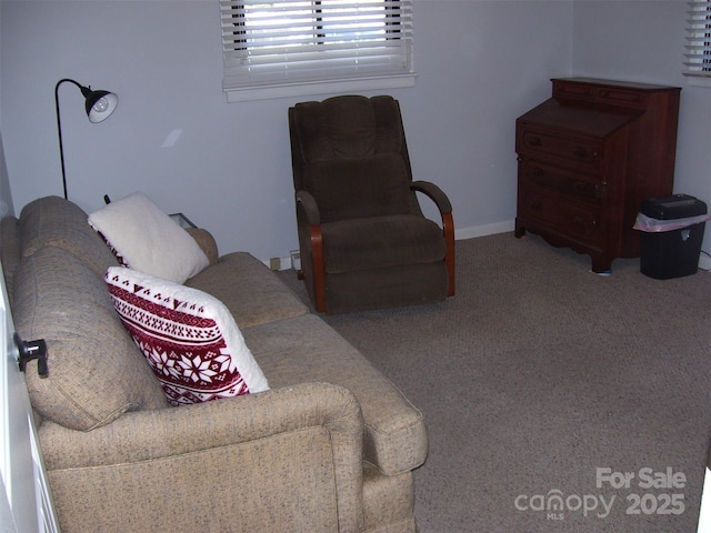 living room with carpet floors