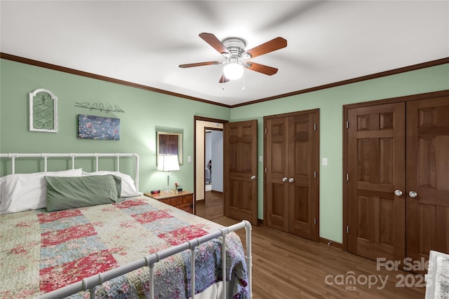 bedroom with multiple closets, ceiling fan, wood-type flooring, and crown molding