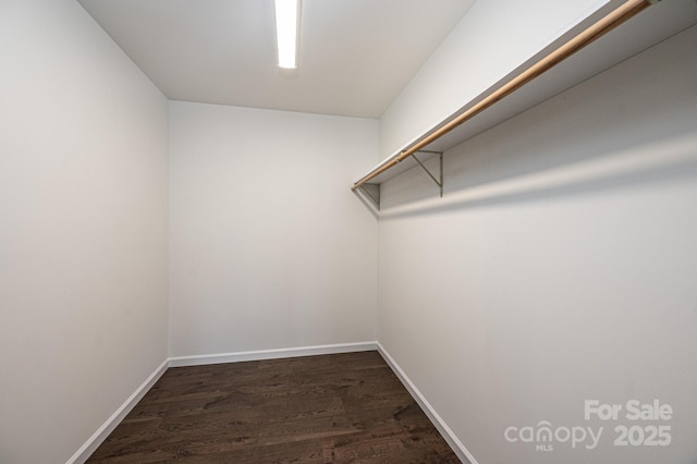 walk in closet with dark wood-type flooring