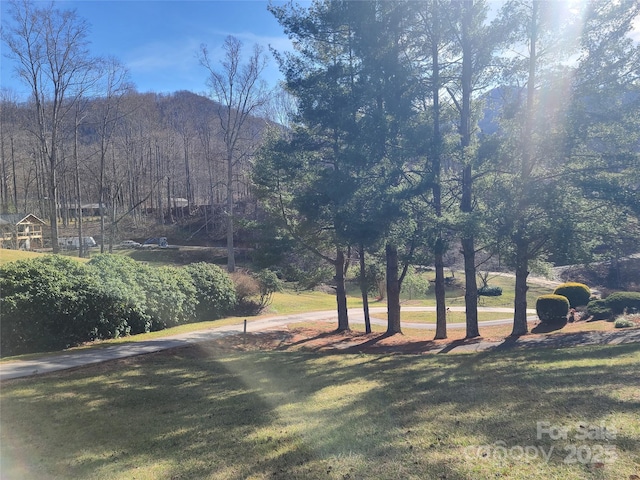 179 Clearview Dr, Waynesville NC, 28785 land for sale