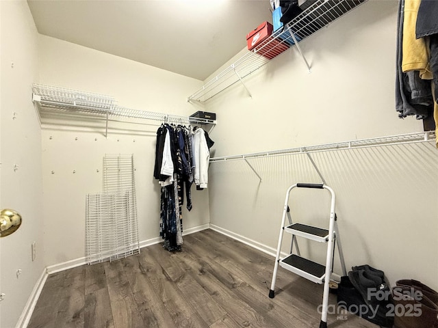 walk in closet with dark hardwood / wood-style floors