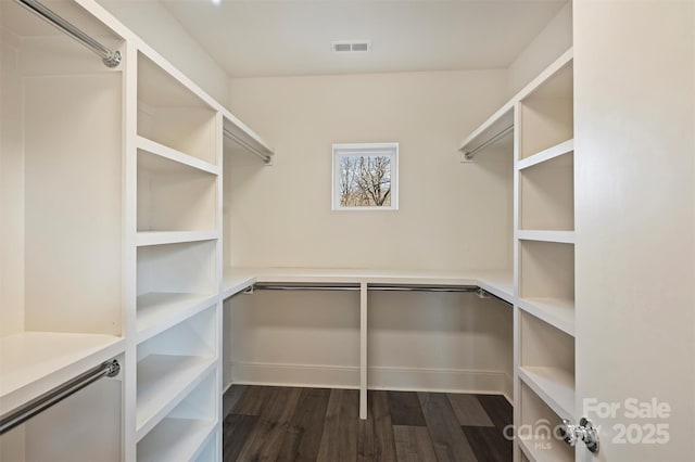 walk in closet featuring dark wood-type flooring