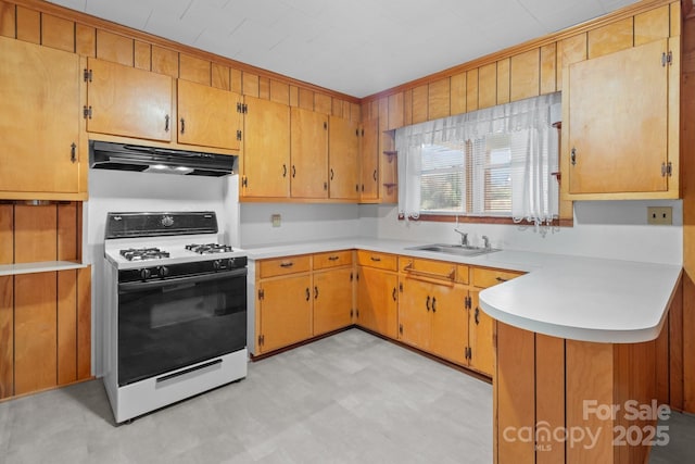 kitchen featuring sink, gas range oven, and kitchen peninsula