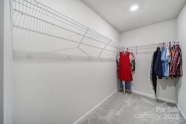 walk in closet with light carpet