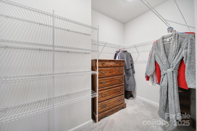 spacious closet featuring carpet floors