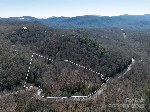 Listing photo 2 for 99999 Big Branch Rd Unit 56A, Brevard NC 28712