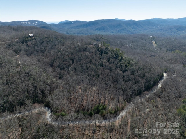 99999 Big Branch Rd Unit 56A, Brevard NC, 28712 land for sale