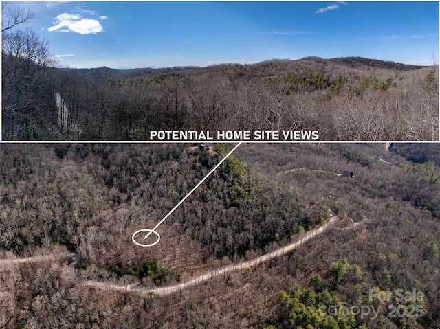 LOT56 Big Branch Rd Unit 56A, Brevard NC, 28712 land for sale