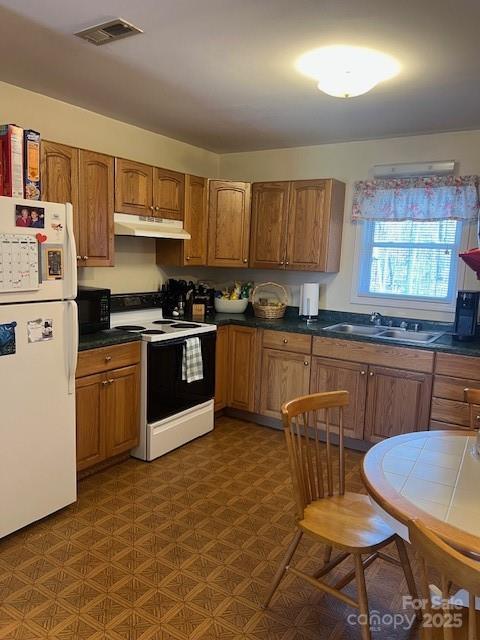 kitchen with sink and white appliances