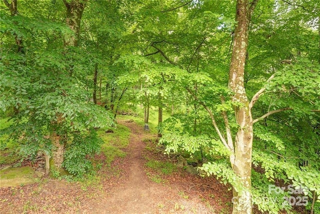 view of local wilderness featuring a wooded view