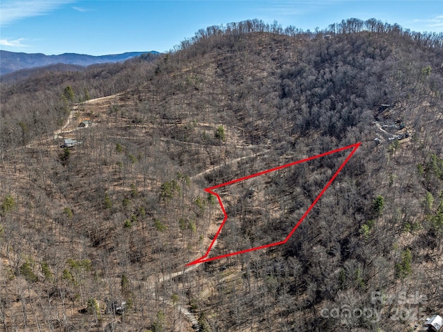 bird's eye view featuring a mountain view and a wooded view