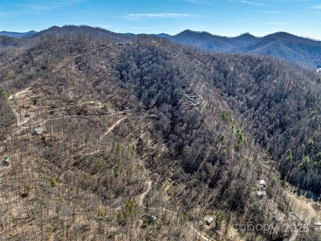 property view of mountains featuring a forest view