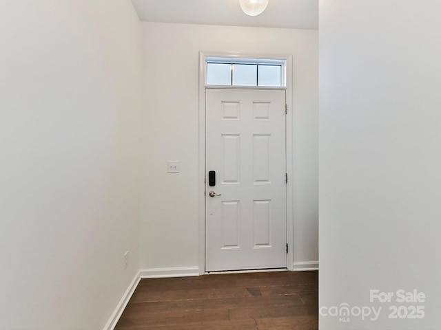 entryway featuring dark wood-type flooring