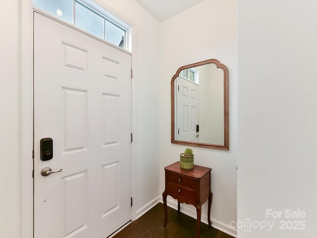 entrance foyer with dark wood-type flooring