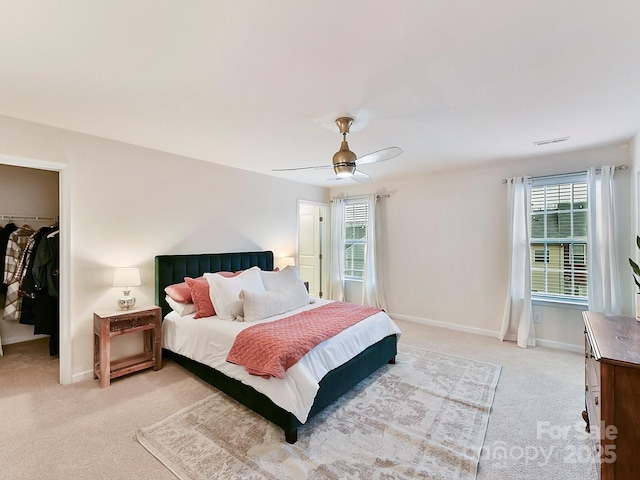 bedroom featuring multiple windows, a walk in closet, ceiling fan, and carpet