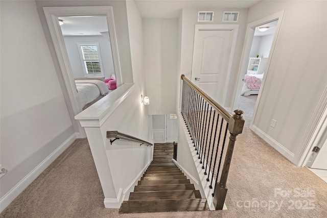 stairway with carpet flooring