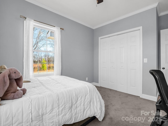 carpeted bedroom featuring a closet, crown molding, and ceiling fan