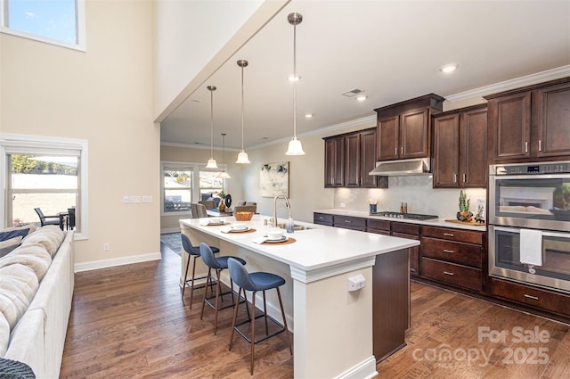 kitchen featuring dark brown cabinetry, under cabinet range hood, a sink, appliances with stainless steel finishes, and crown molding