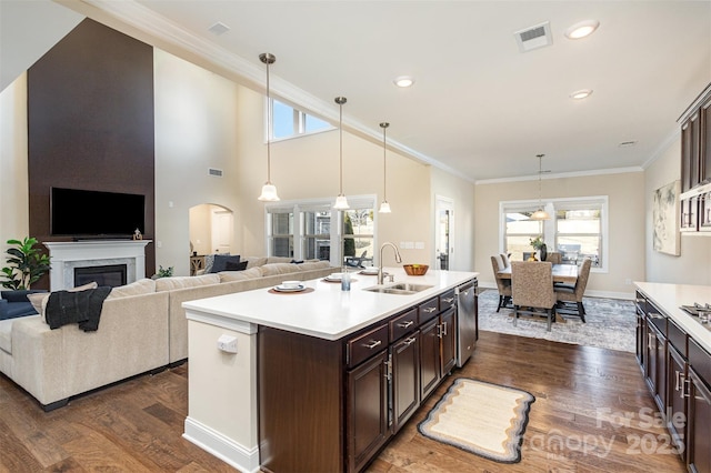 kitchen with dark brown cabinetry, dark wood-type flooring, a sink, light countertops, and crown molding