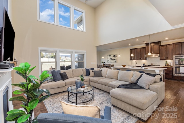 living room with dark wood-style flooring and plenty of natural light