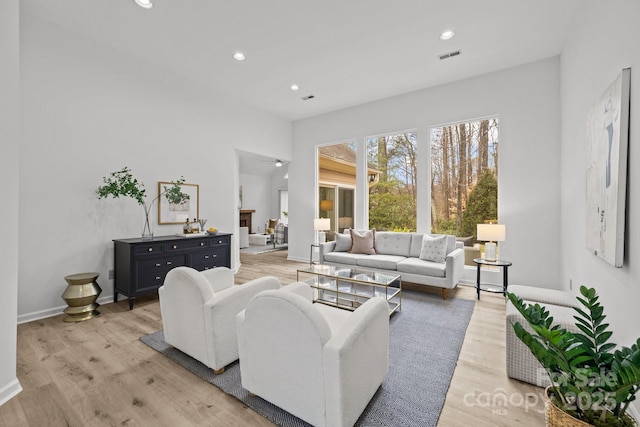 living room featuring wood-type flooring