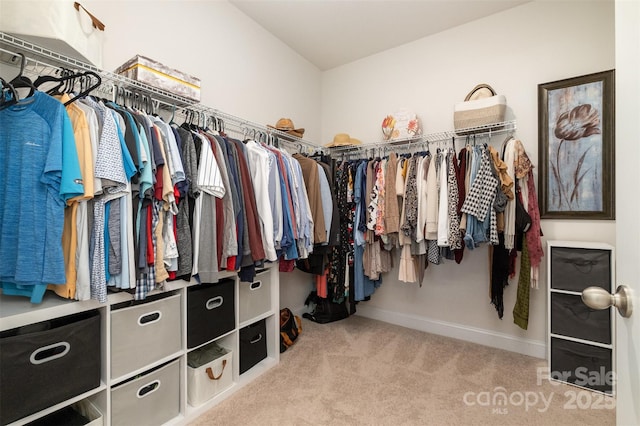 walk in closet featuring carpet floors