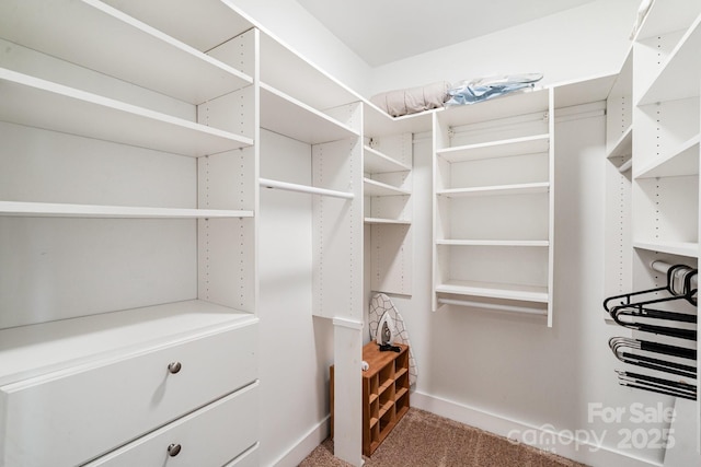 spacious closet with carpet floors