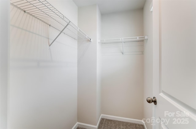 walk in closet featuring carpet flooring