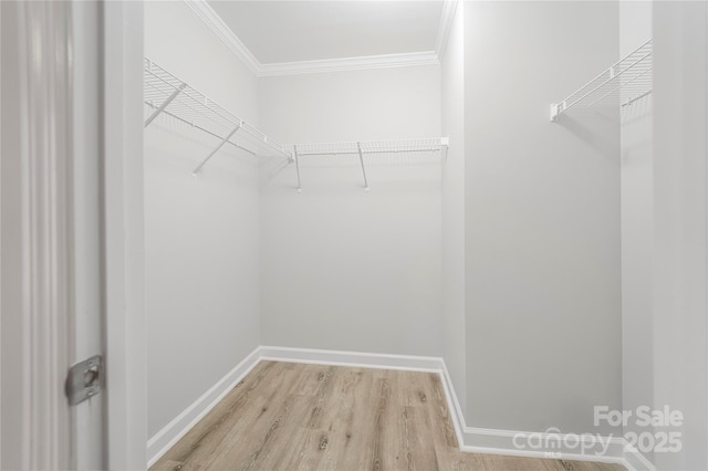 walk in closet featuring light hardwood / wood-style floors