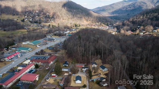 birds eye view of property featuring a mountain view