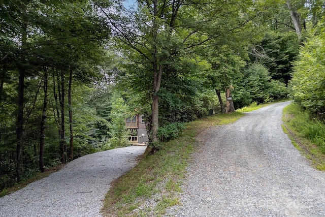 3925 Blackberry Crest Ln, Lenoir, NC 28645 - view of dirt / gravel driveway featuring a view of trees