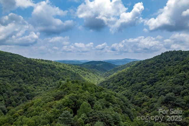 3925 Blackberry Crest Ln, Lenoir, NC 28645 - mountain view featuring a heavily wooded area