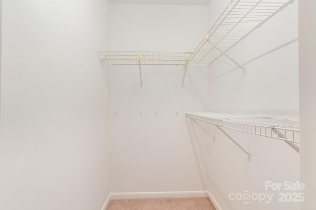 1006 Lost Cv, Weddington, NC 28104 - walk in closet featuring light colored carpet
