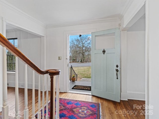 entryway featuring hardwood / wood-style floors and ornamental molding