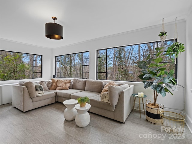 living room with crown molding and light hardwood / wood-style floors